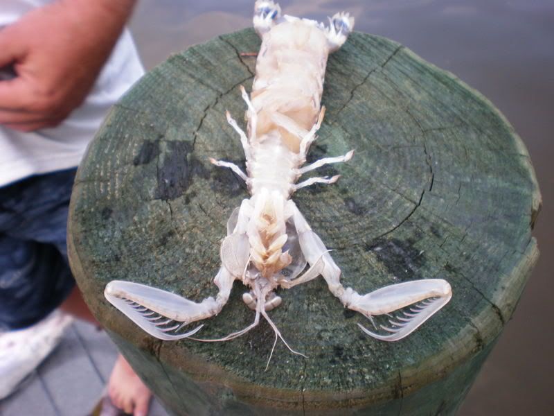 fishingtrip037.jpg