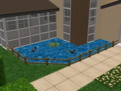 snapshot_00000006_5175cfbb.jpg