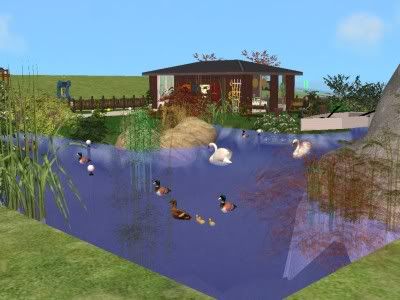 snapshot_31bd24c8_51bd254e.jpg