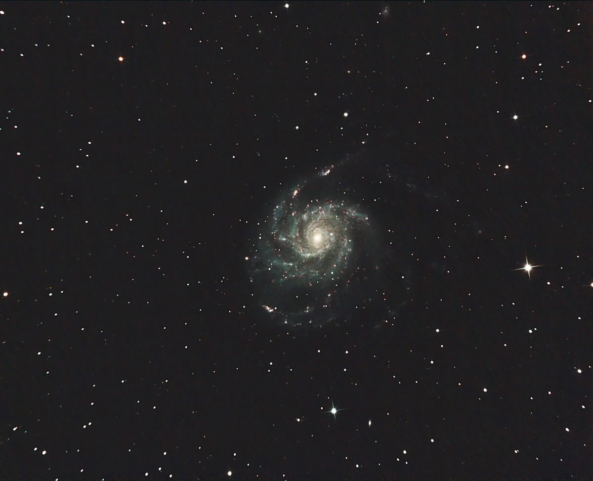 M101-web-1.jpg