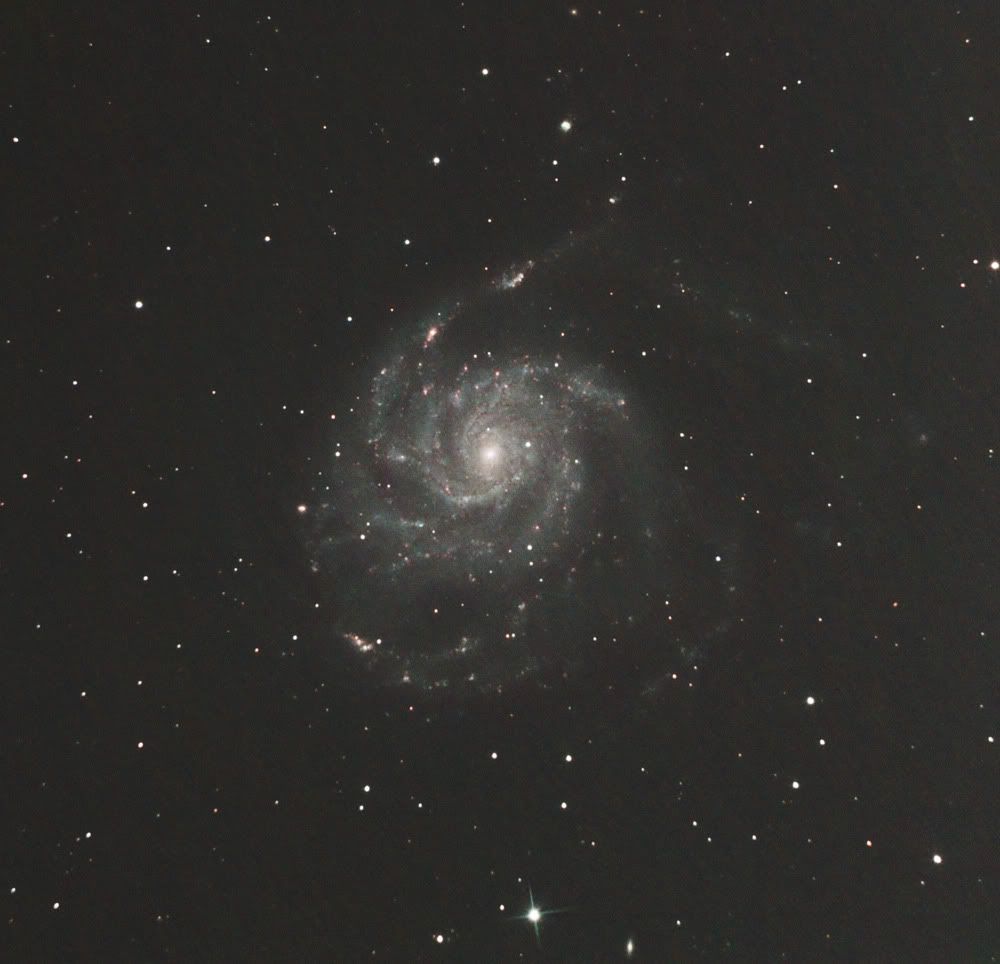 M101-web.jpg