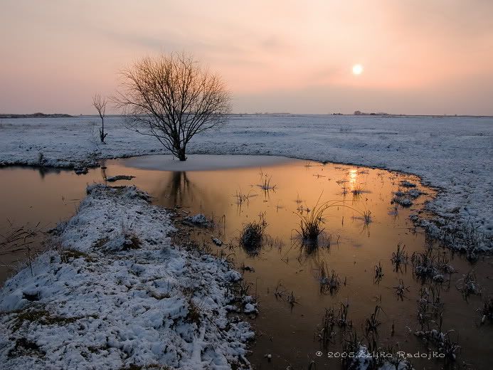 zima084_resize.jpg