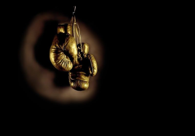boxing gloves wallpaper. oxing gloves wallpaper. Boxing Gloves Image; Boxing Gloves Image. dillei. Apr 19, 07:05 PM. New here, and planning to purchase a