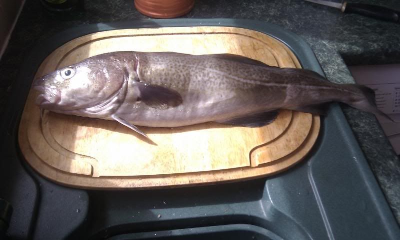 IMAG0046.jpg
