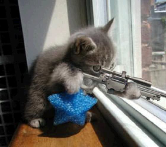 kitty_gun.jpg