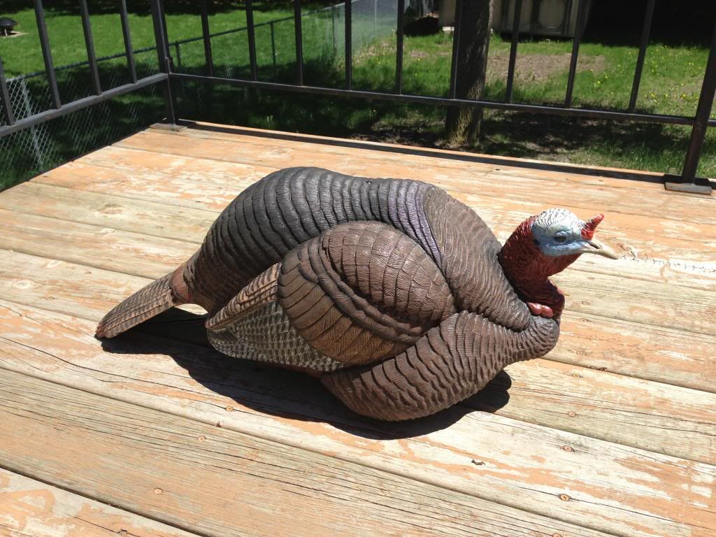 Dakota Xtreme Jake Decoy success! with video Archery Talk Forum