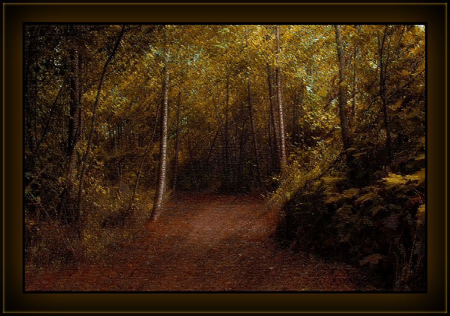 IMAGE: http://i47.photobucket.com/albums/f192/Picturesfrom2006/Pathwaytoforest.jpg