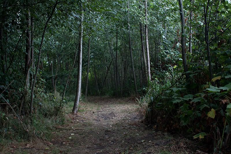 IMAGE: http://i47.photobucket.com/albums/f192/Picturesfrom2006/forst.jpg