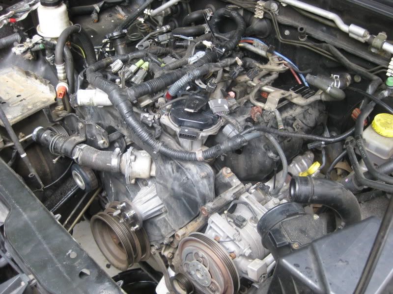 Think its a blown head gasket Nissan XTerra Forum