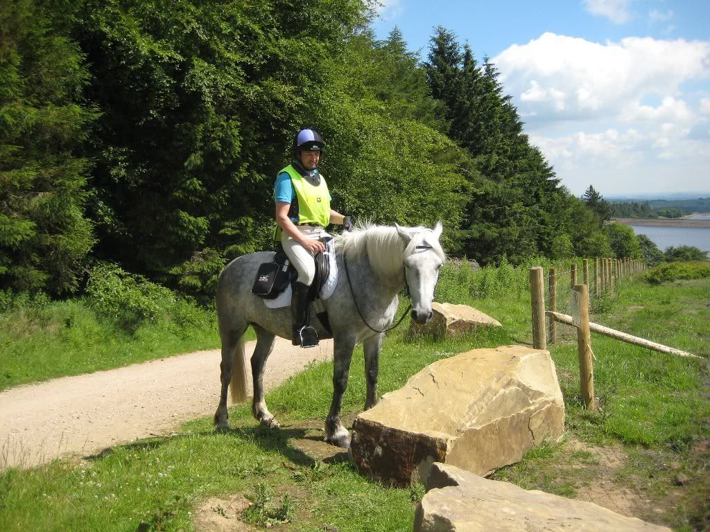 shires saddle panniers