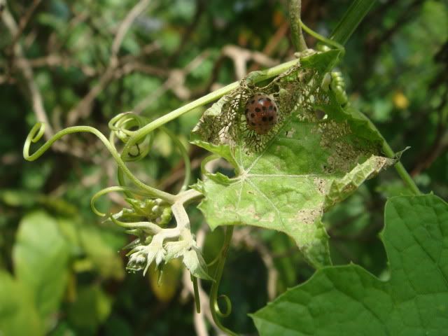 Chuyến đi từ thiện _ Chung tay vì cộng đồng - 9