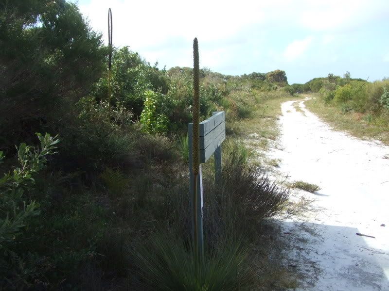 DSCF0736.jpg