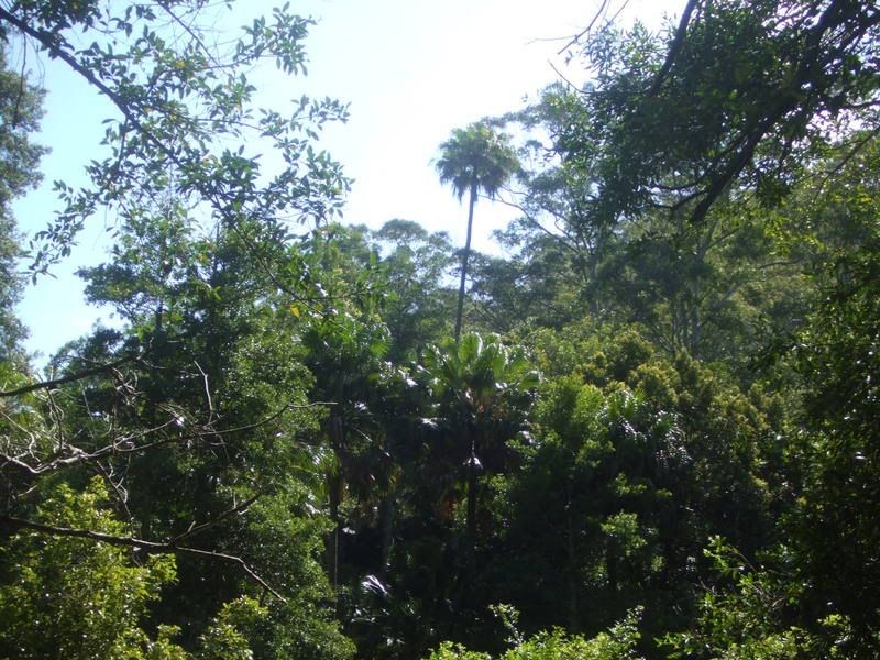 DSCF0807.jpg