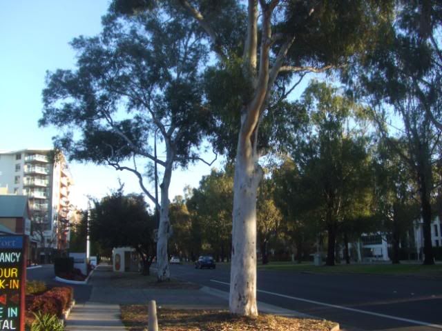 DSCF1574.jpg