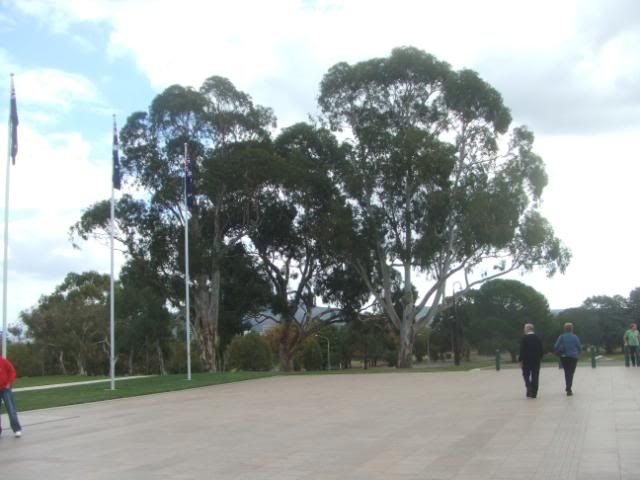 DSCF1583.jpg