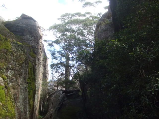 DSCF2639.jpg