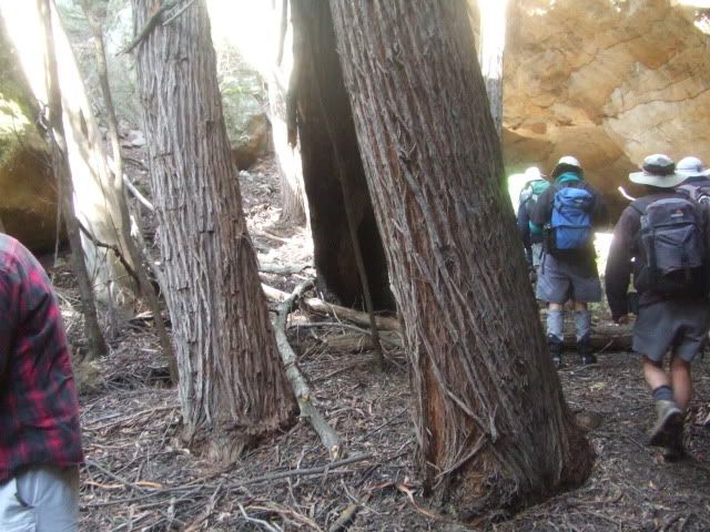 DSCF2642.jpg