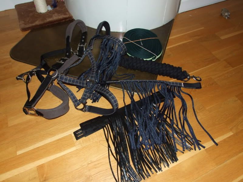 DSCF4146.jpg