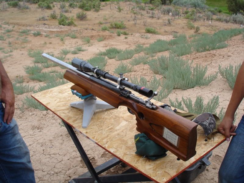 best budget bolt action 308