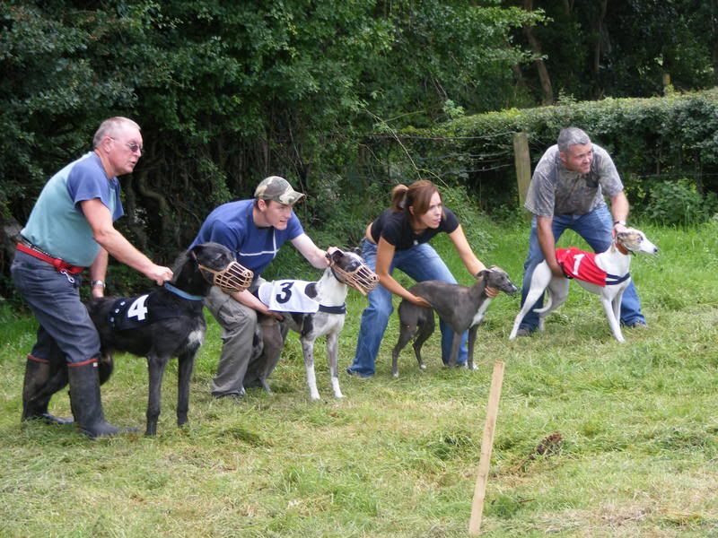 TullylishDogShow2008004.jpg