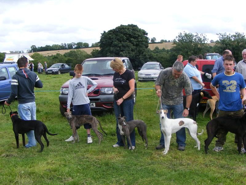 TullylishDogShow2008012.jpg