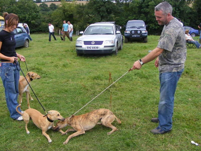 TullylishDogShow2008039.jpg