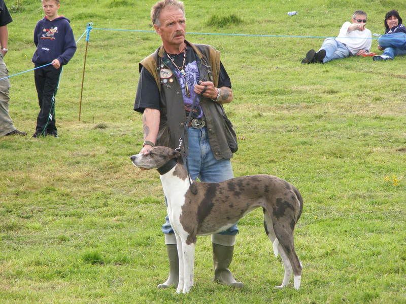 TullylishDogShow2008054.jpg