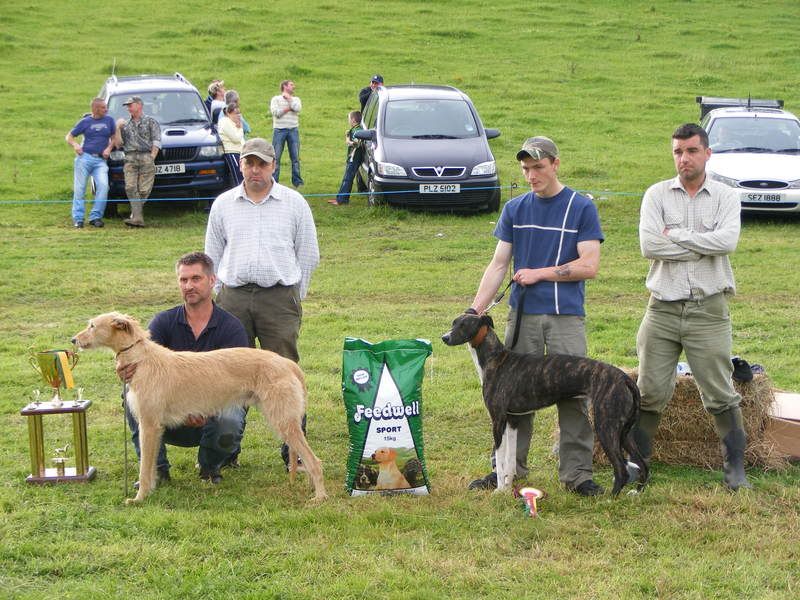 TullylishDogShow2008056.jpg