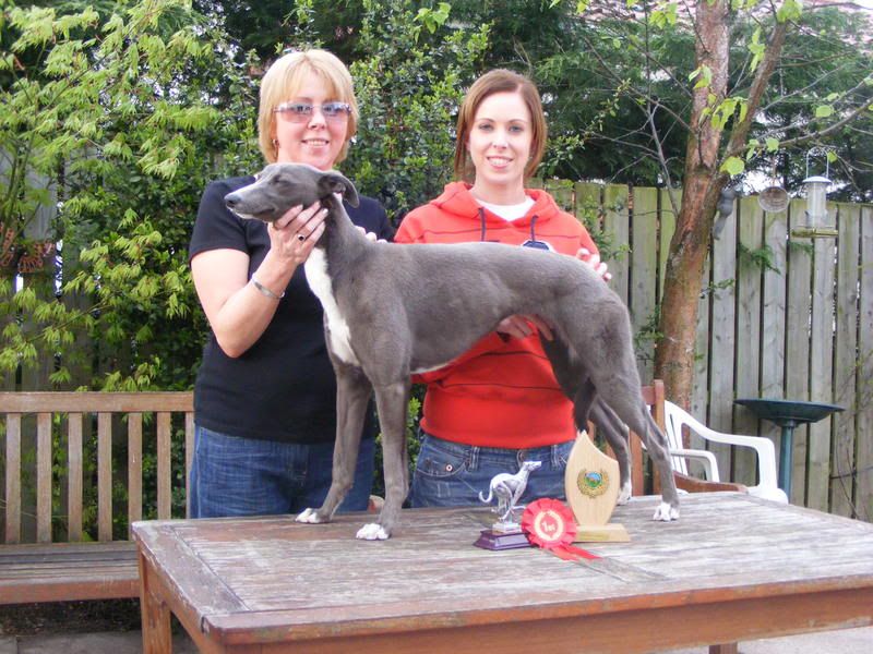 whippetshow024.jpg