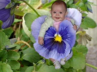 Photo Sharing and Video Hosting at Photobucket