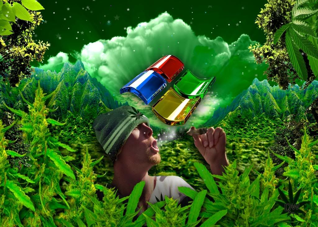 Window Weed Wallpaper Window Weed Wallpaper