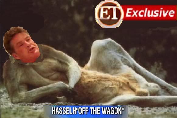 drunk hasselhoff Pictures, Images and Photos