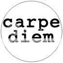 CARPE DIEM pin button badge Sieze The Day latin novelty  