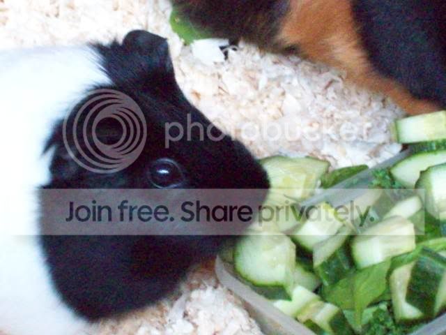 100_0244.jpg