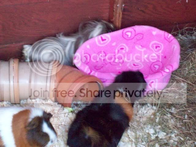 100_0273.jpg