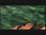 [PokeCommunity.com] The Legend of Zelda Fan Club