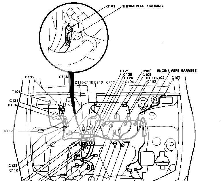 Location of thermostat ground? - Honda-Tech - Honda Forum  