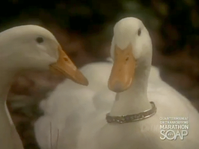 th_11-23-95GeneralHospital-Sigmund.gif?t=1353772956