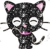 kitty
