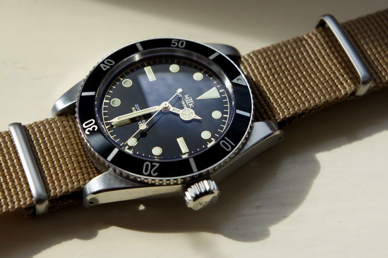 micro brand diver