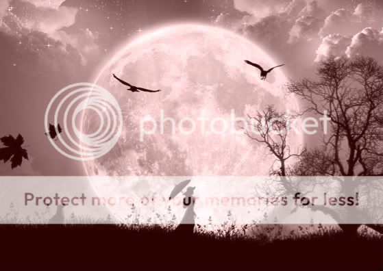 nature_wallpapers_2-1.jpg