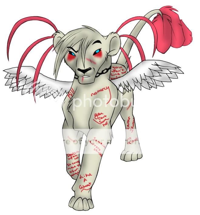 User Image