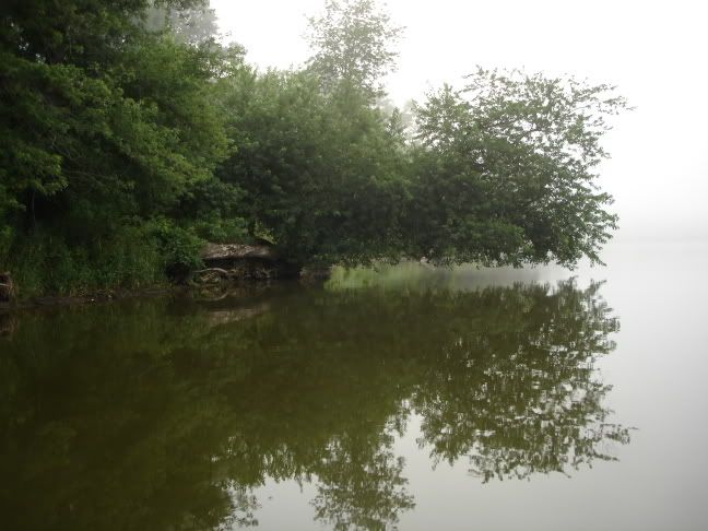 IPB Image