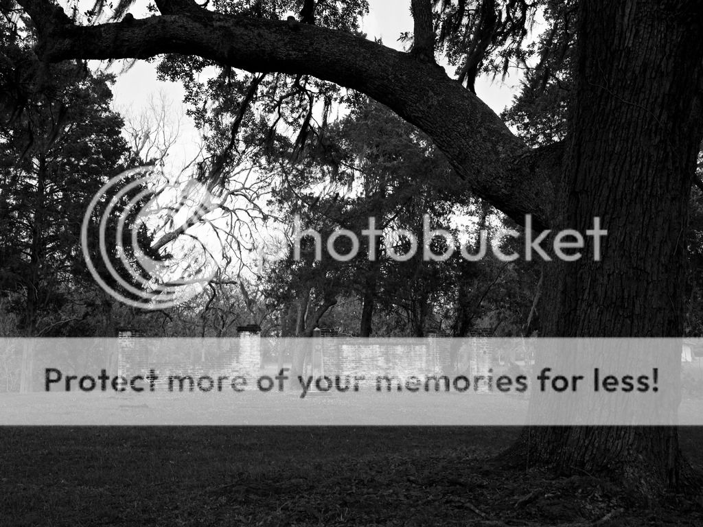 Whistling Past the Graveyard