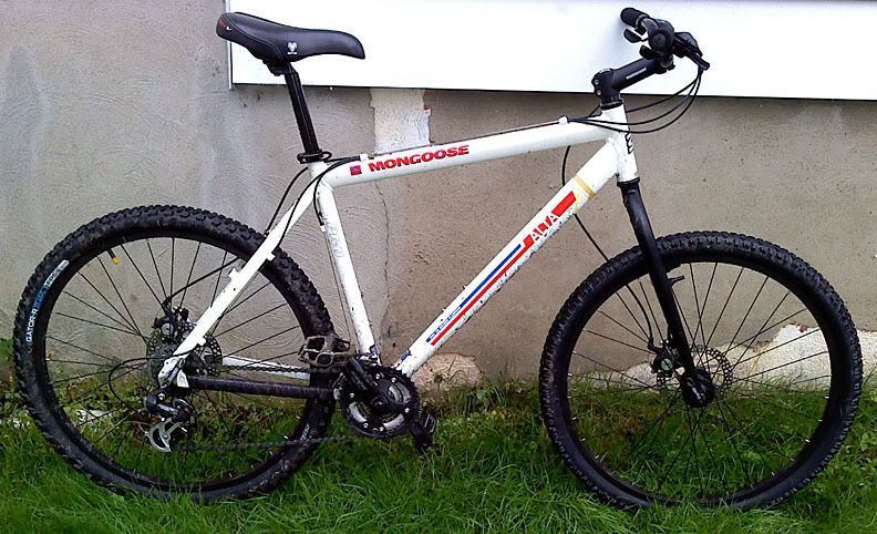 mongoose alta