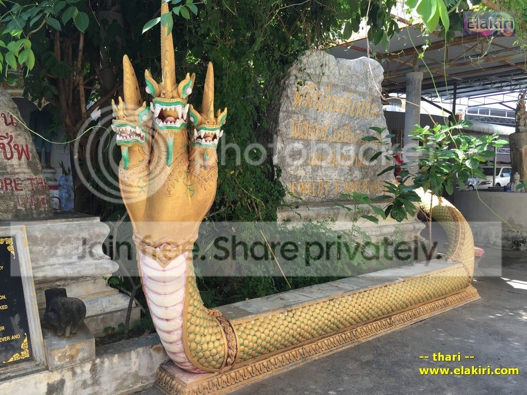 Riwi%2023_zpseerpsbgl.jpg