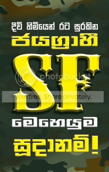 SF02.jpg