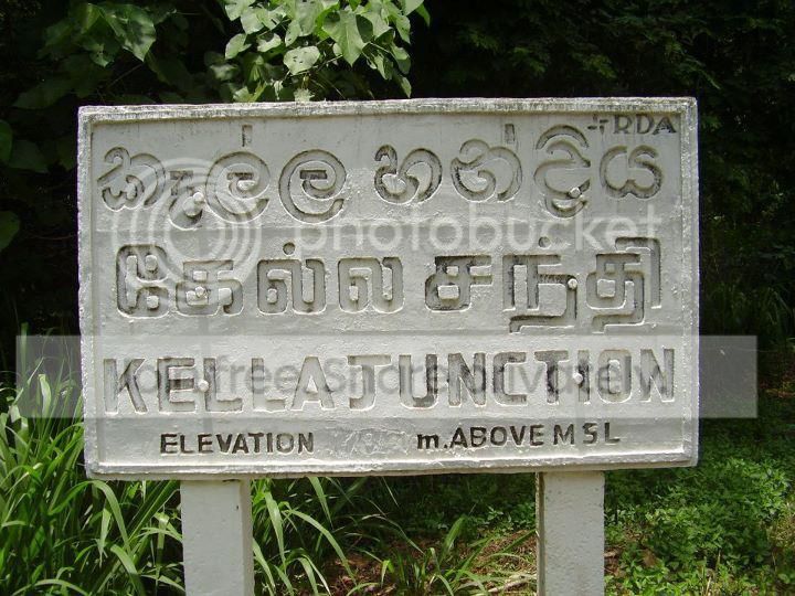 image001-3.jpg