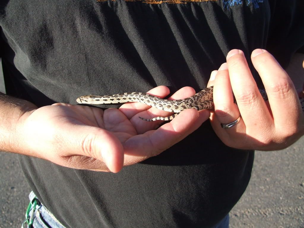 The Snake Poop Pictures, Images & Photos | Photobucket