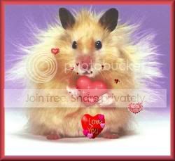 Image hosting by Photobucket